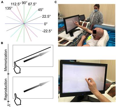 Perception of length and orientation in dry immersion